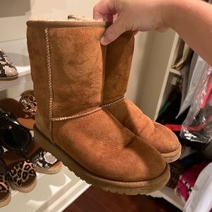 Mini chestnut uggs size 7